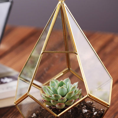 Ένωση λουλουδιών γυαλιού μαύρου χρυσού γεωμετρικού γυαλιού Terrarium εγκαταστάσεων Homeware του Succulent προμηθευτής